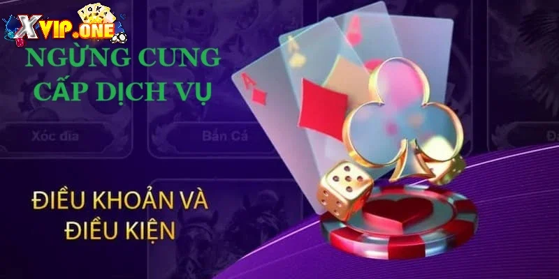 Điều khoản và điều kiện đối với các vi phạm