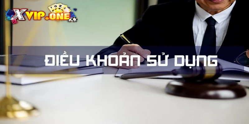 Tổng quát về điều khoản sử dụng